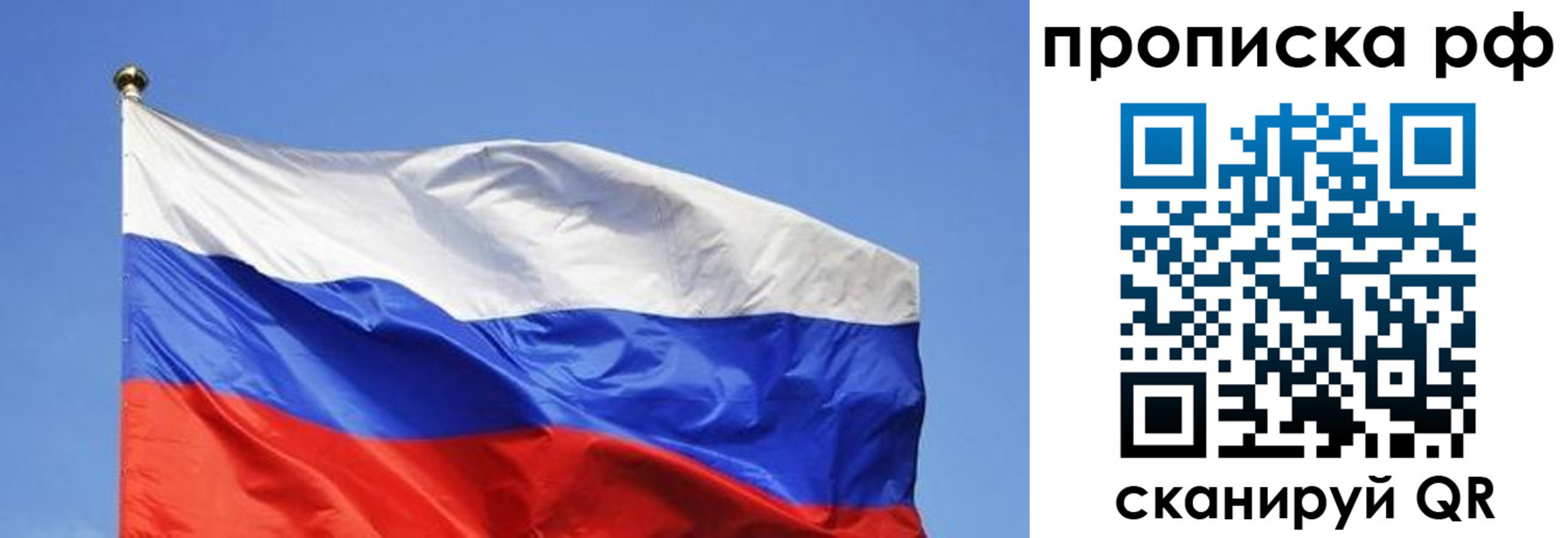 прописка штамп в Светлогорске