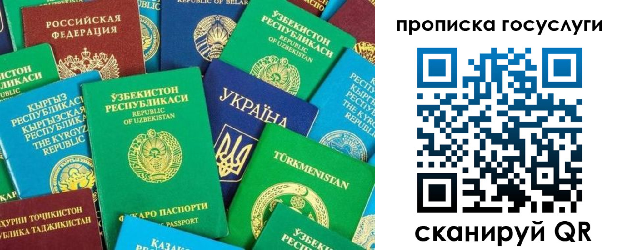 временная регистрация для всех в Светлогорске